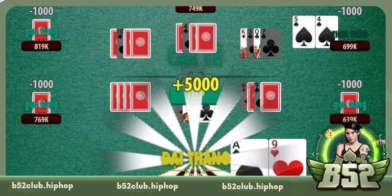 Bí kíp làm chủ sảnh Catte từ các bậc thầy